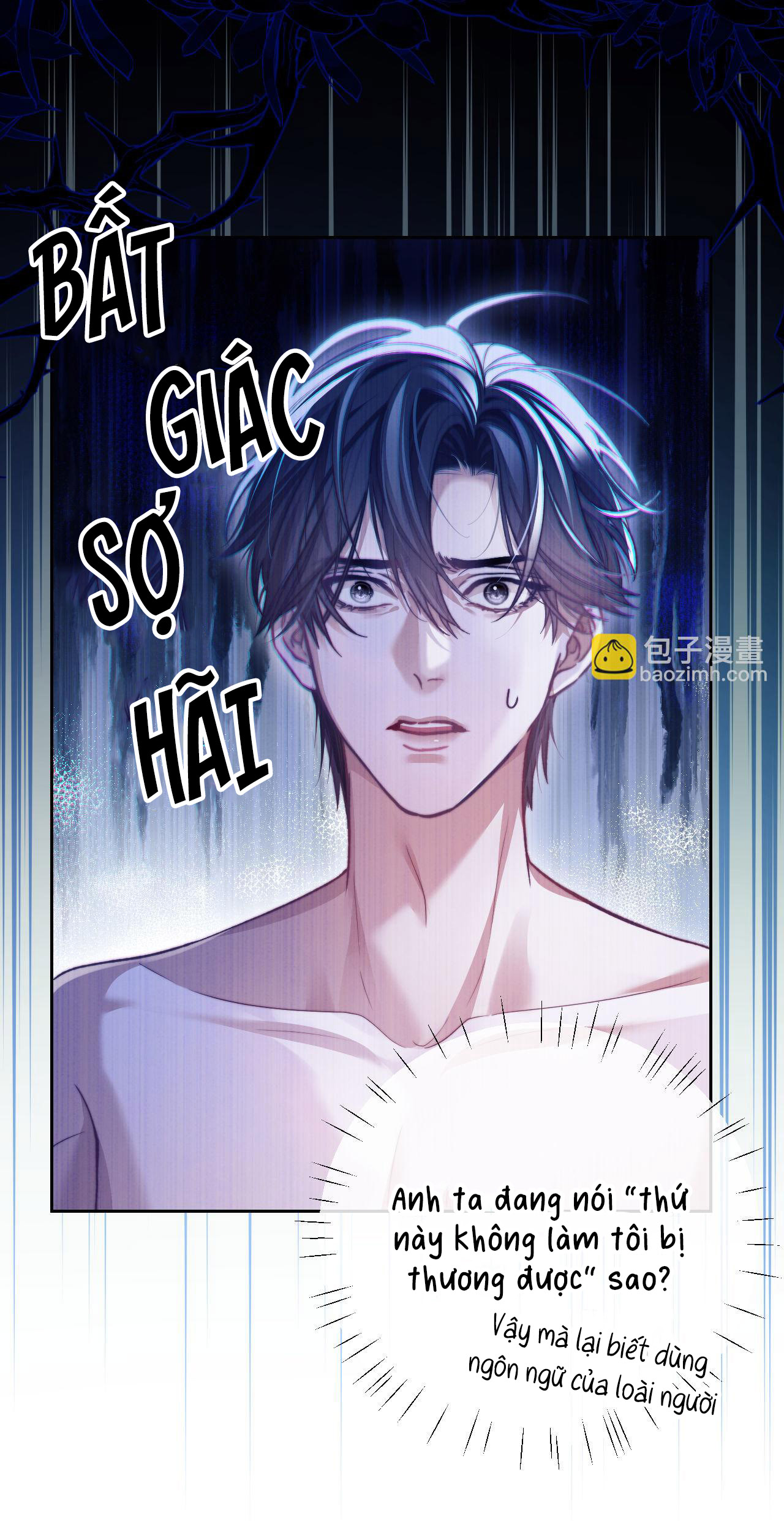 nhân ngư dessaro chapter 14 16