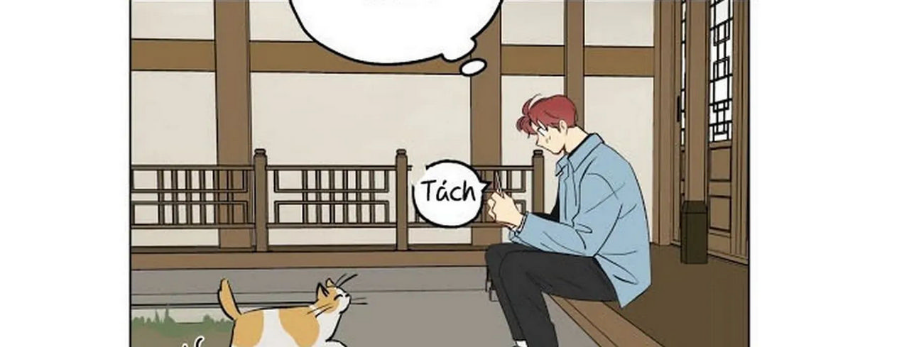 chuyện quái gì với giấc mơ đó vậy chapter 1 100