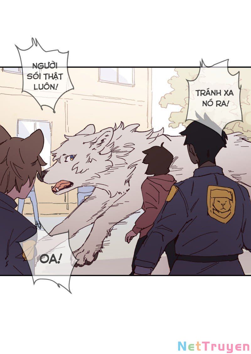 lumine - cội nguồn ánh sáng chapter 89 8