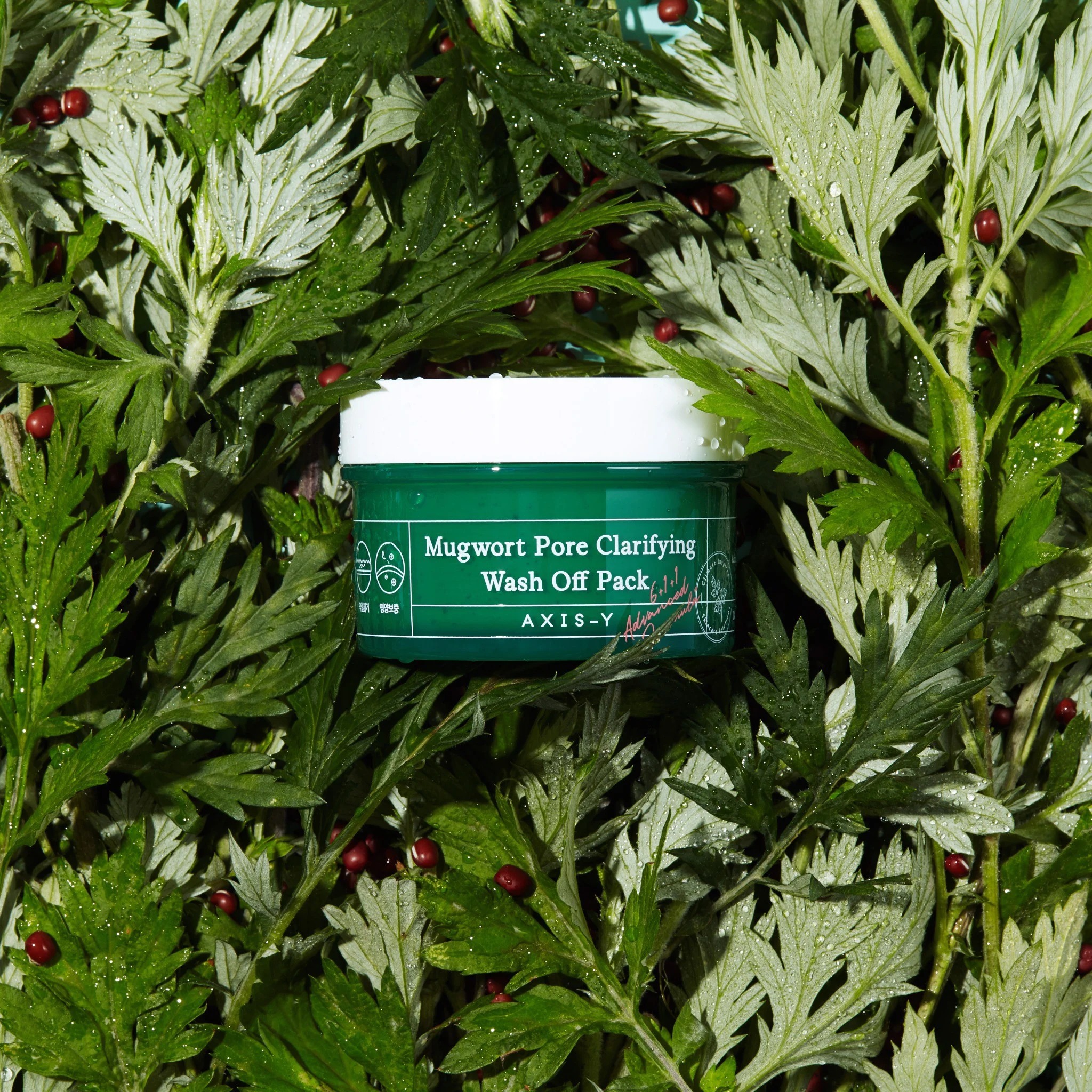 Mặt Nạ Ngải Cứu Đất Sét Làm Sạch Sâu Giảm Mụn Axis-Y Mugwort Pore Clarifying Wash Off Pack 100ml + + Tặng 1 mặt nạ Dr.Morita bất kỳ