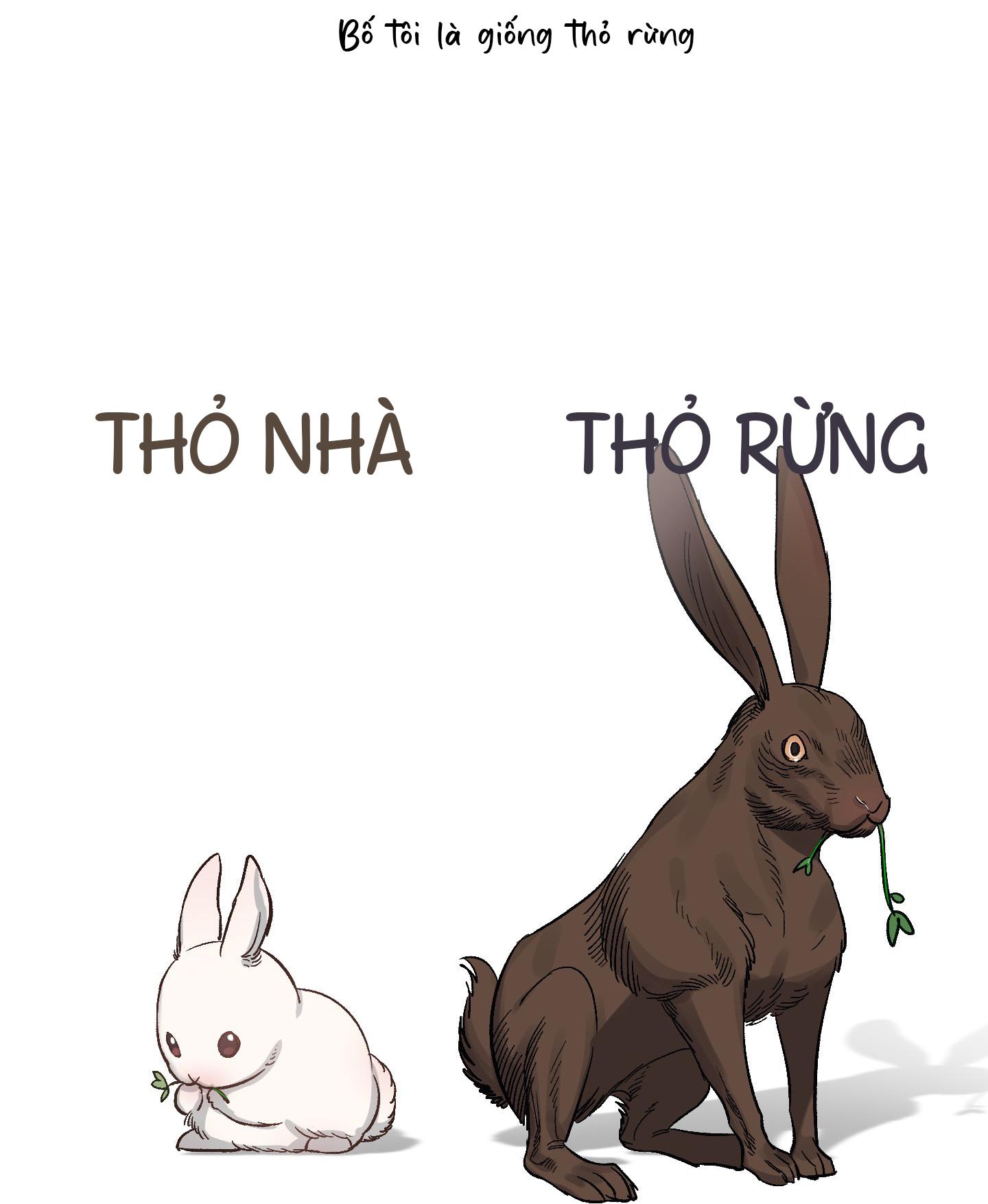 thỏ nhỏ xuất tinh trong 3 giây chapter 2 60