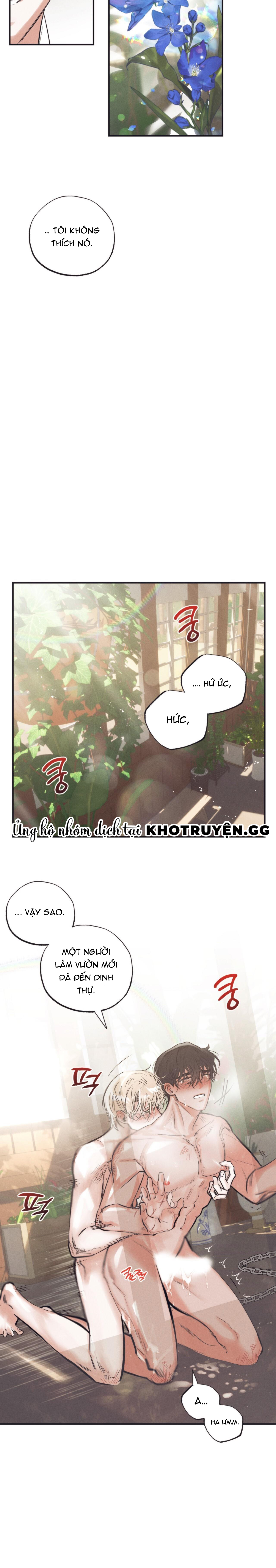 vườn địa đàng của esther chapter 2 12