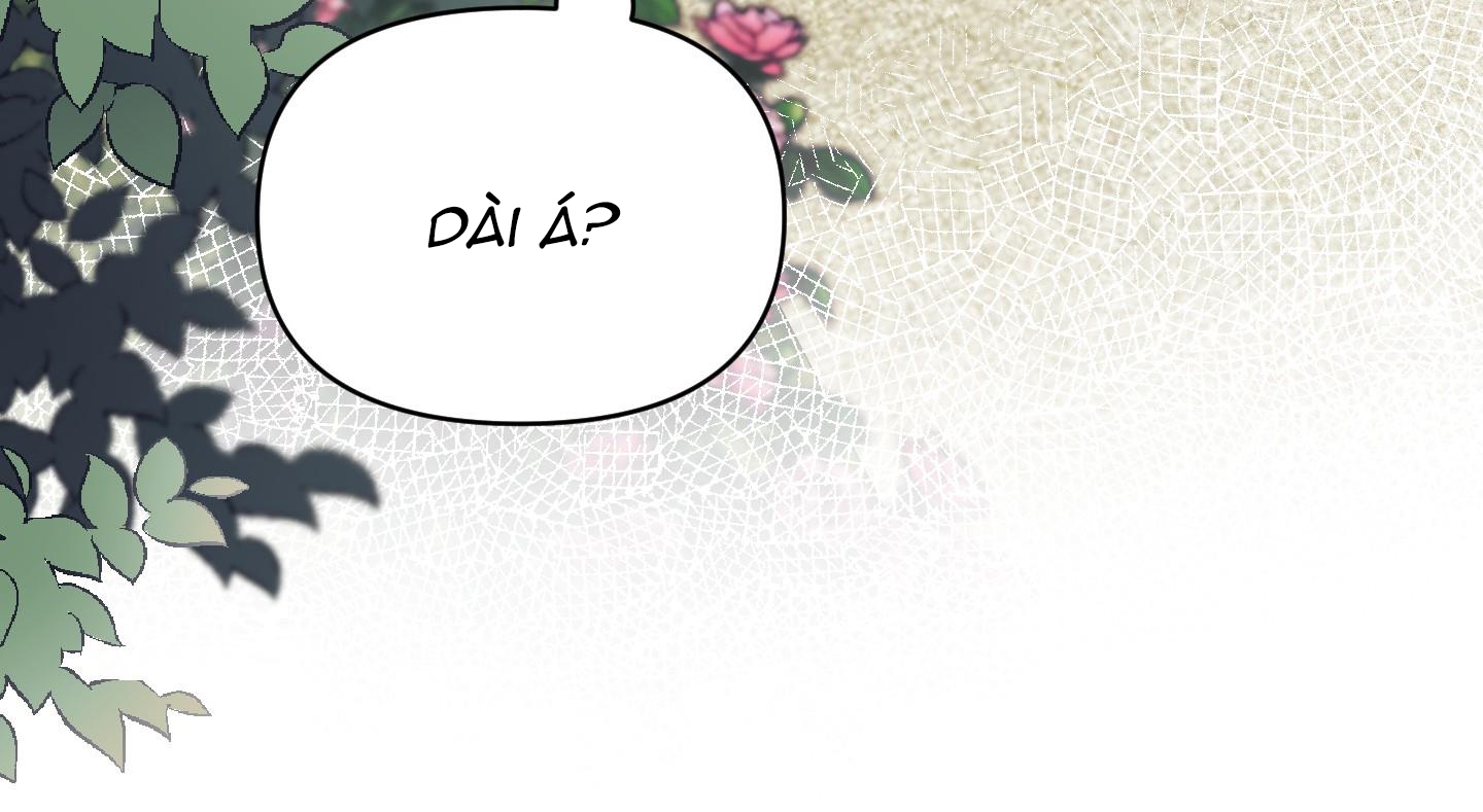 định rõ mối quan hệ chapter 39 24