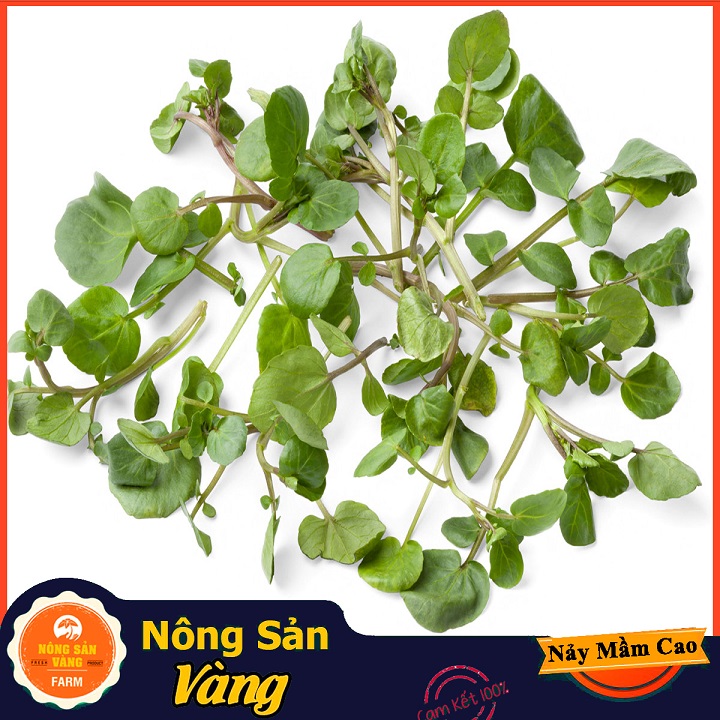 Hạt giống Xà Lách Xoong ( Gói 0,5 Gram ) - Nông Sản Vàng