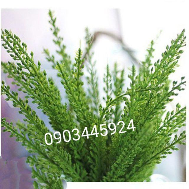 Cành điểm thông dày dặn loại 1- cây giả