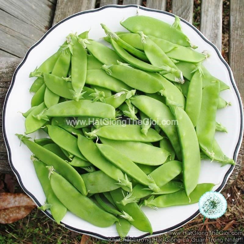 1KG Hạt Giống Đậu Hà Lan (| Y25*W23)