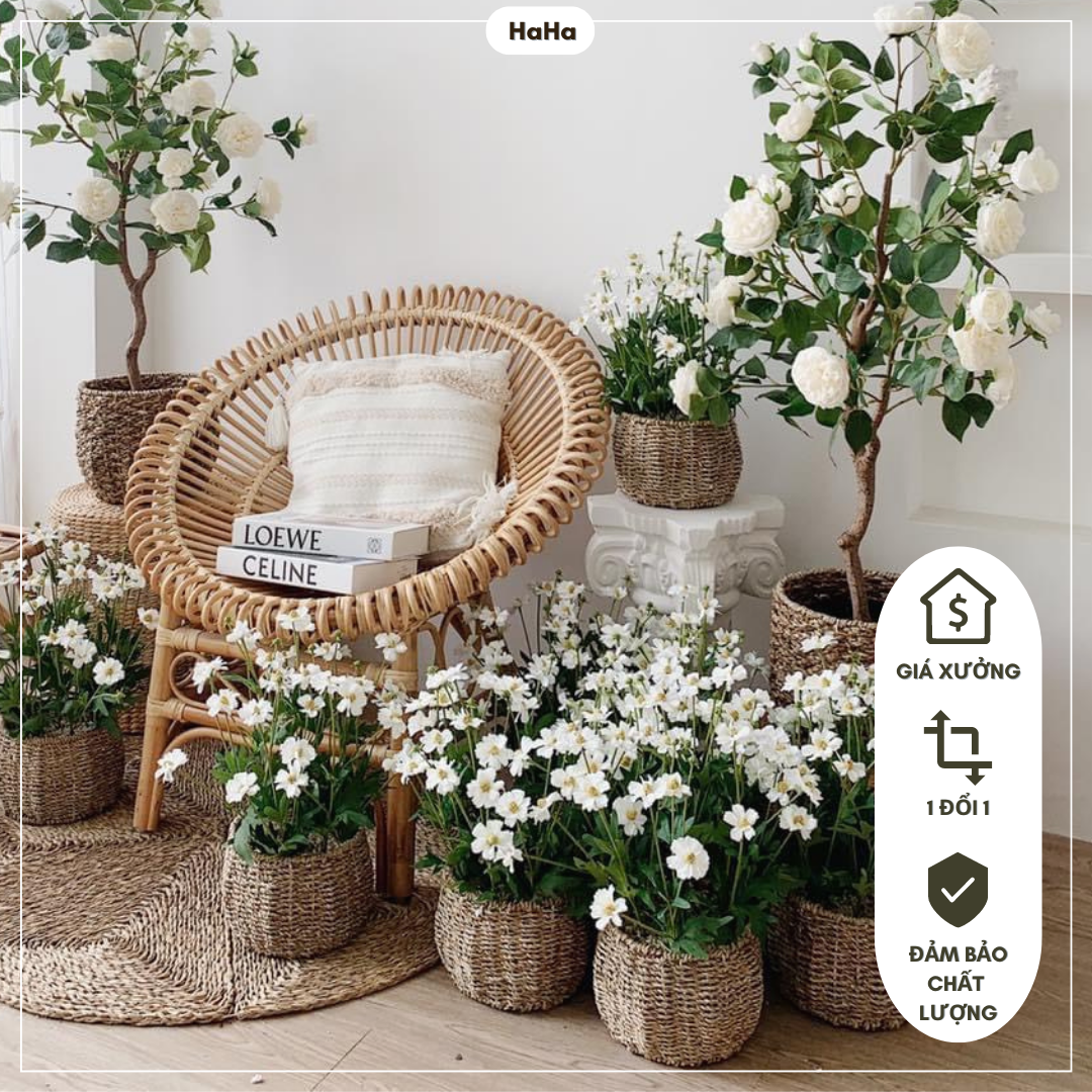 Giỏ cói trồng cây Chum cói cắm hoa decor cây cảnh Đường Kính 20cm GCD03