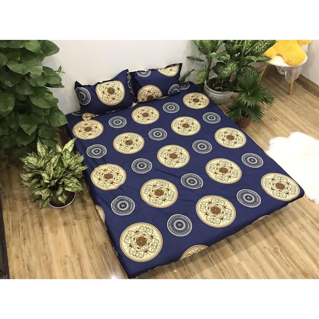 Bộ ga chun và 2 áo gối nằm Emmidecor -  mẫu đồng tiền xanh, drap cotton poly