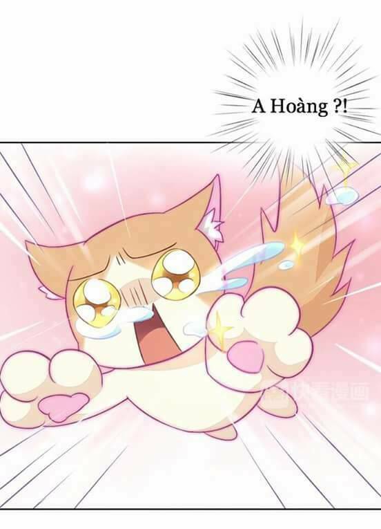 dưới móng vuốt mèo chapter 5 36