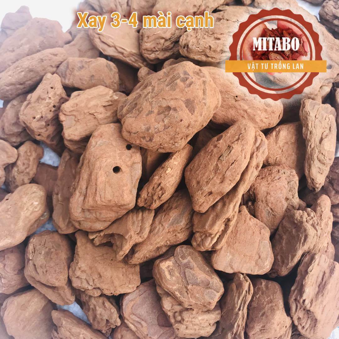 5kg vỏ thông kích thước 3-4cm mài cạnh tròn đẹp