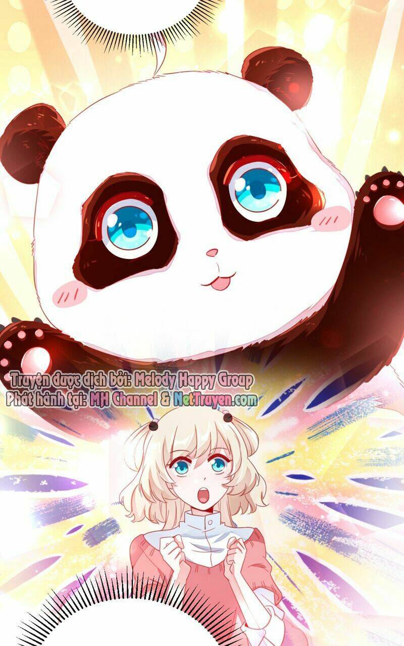 thiên thần gấu trúc muốn được ôm chapter 16 8