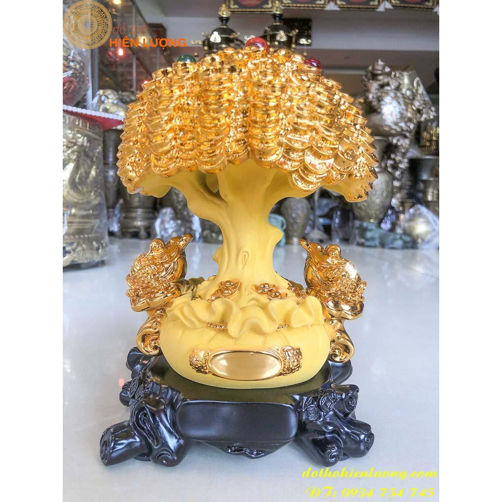 Cây Kim Tiền Bằng Đá