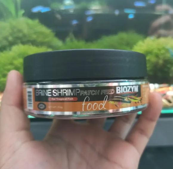 Thức ăn Biozym Brine Shrimp, viên dán Artemia cao cấp