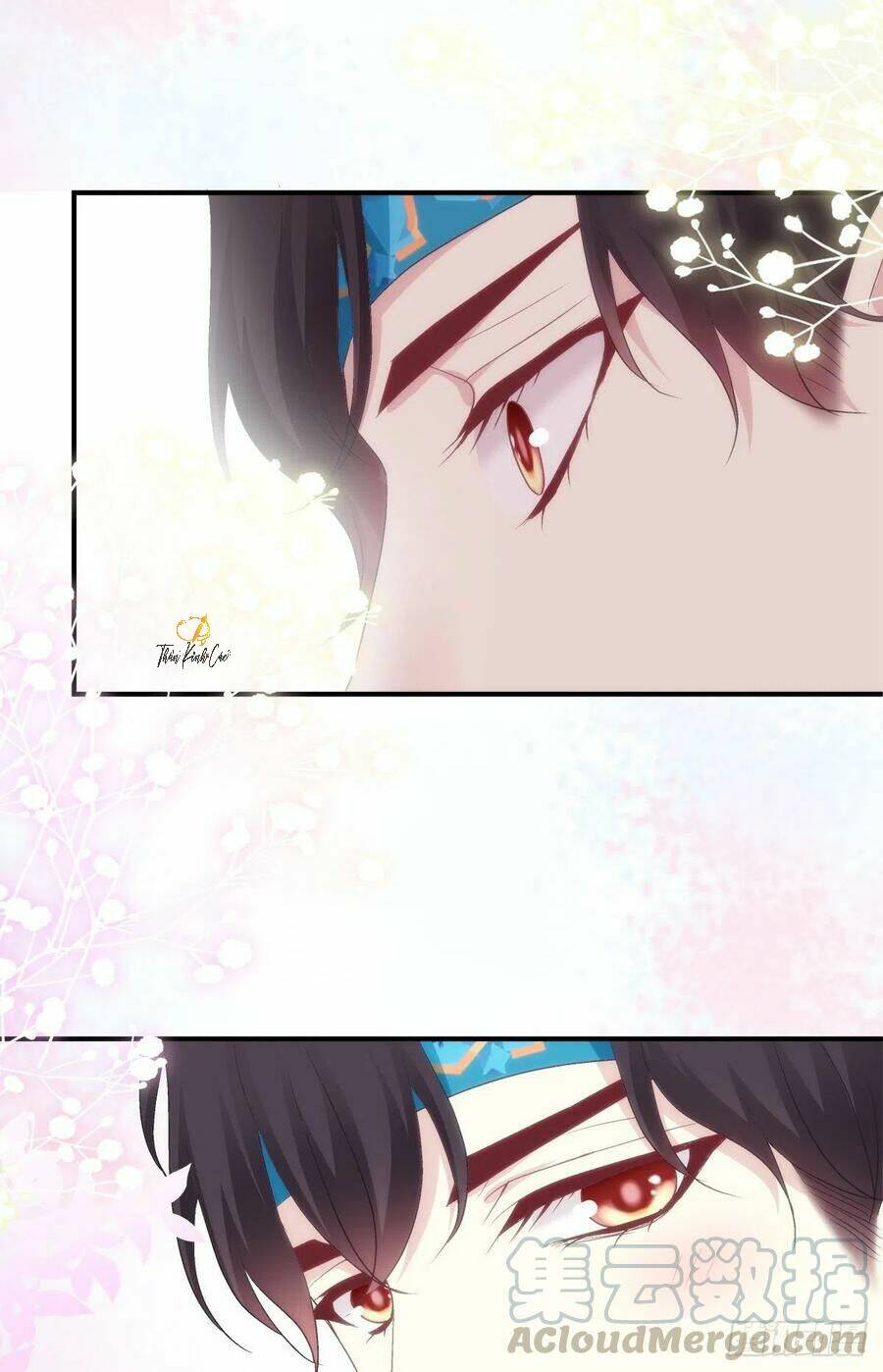 toàn bộ nắm trong tay chapter 79 35