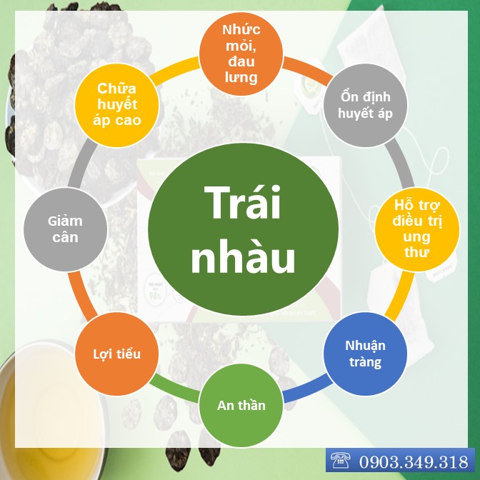 TRÀ NHÀU Hộp – Delta D'Asia Chữa huyết áp cao, nhức mỏi, đau lưng (25 túi x 1,5 g)