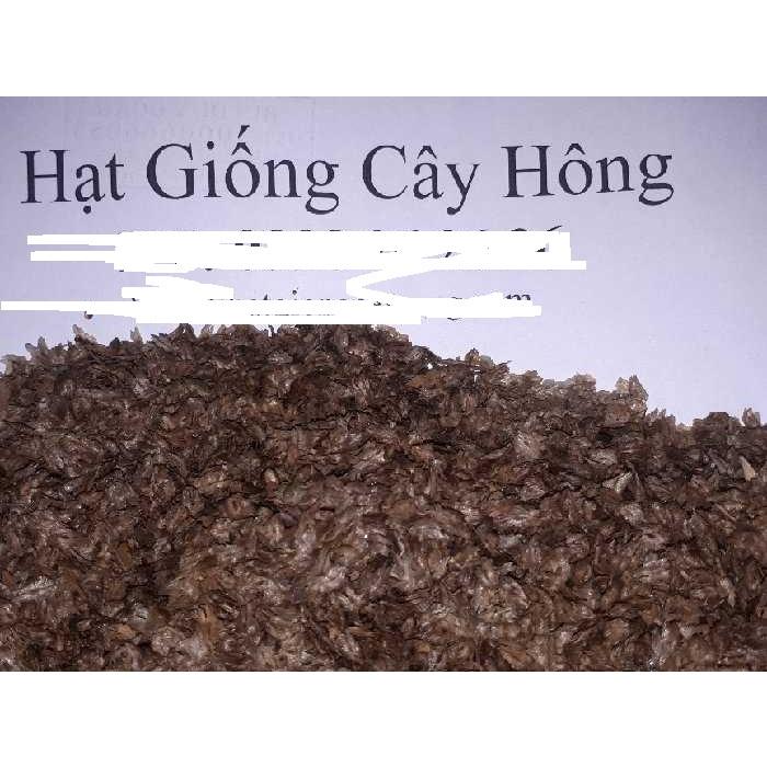 SẢN PHẨM: 800 GRAM HẠT GIỐNG CÂY HÔNG [ TÊN GỌI KHÁC: Cây Tếch Lai - giống chuẩn mới, bao nảy mầm ]