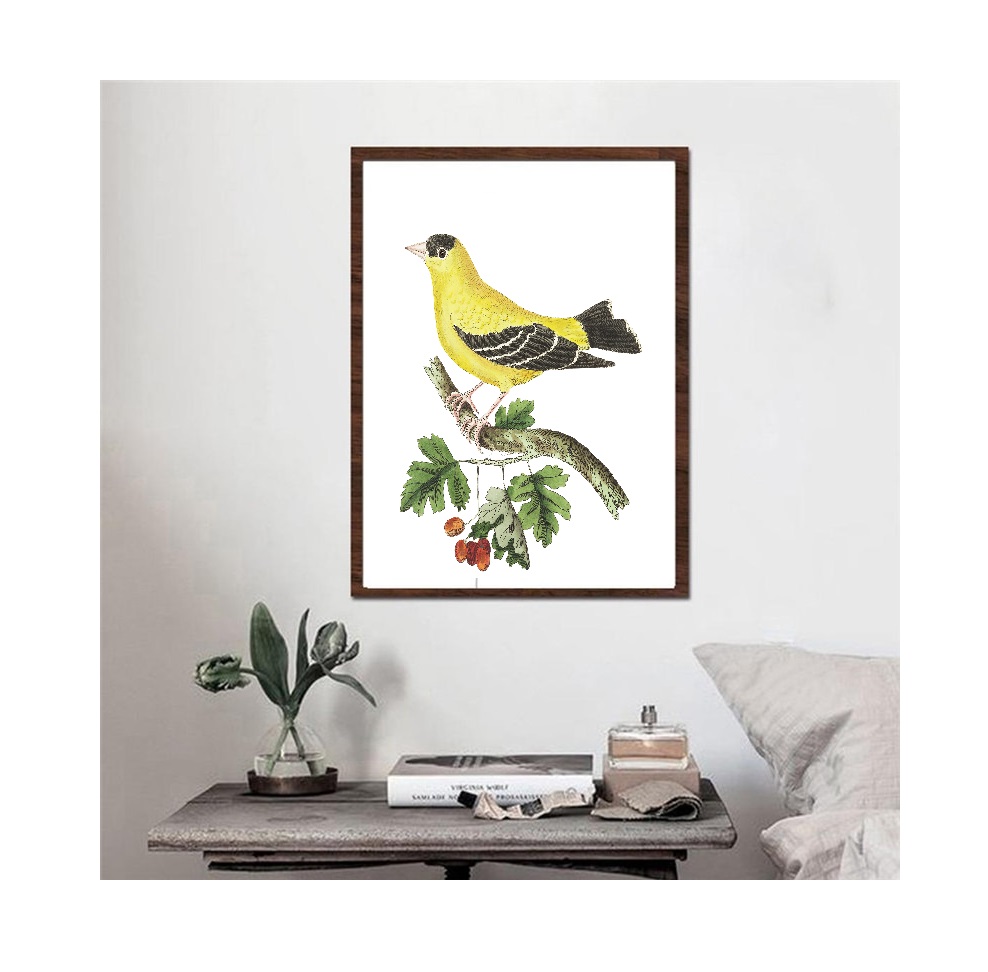 Tranh canvas treo tường phong cách vintage cổ điển,- bird golden finch,Tranh Canvas PVP-DC164, Kèm khung màu gỗ.