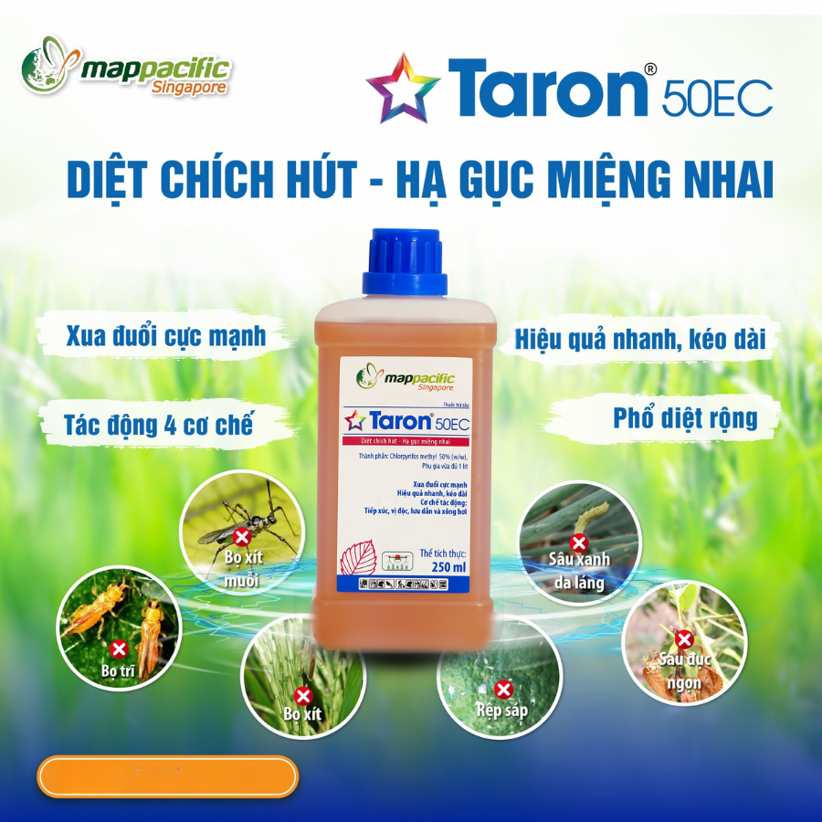 Thuốc trừ sâu Taron 50EC 250ml Diệt Chích Hút - Hạ Gục Miệng Nhai