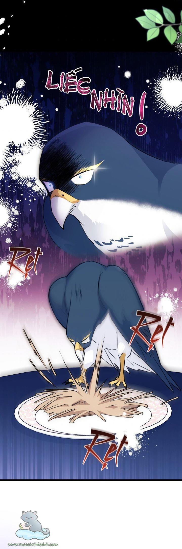 quan hệ cộng sinh giữa báo đen và thỏ trắng chapter 55 3