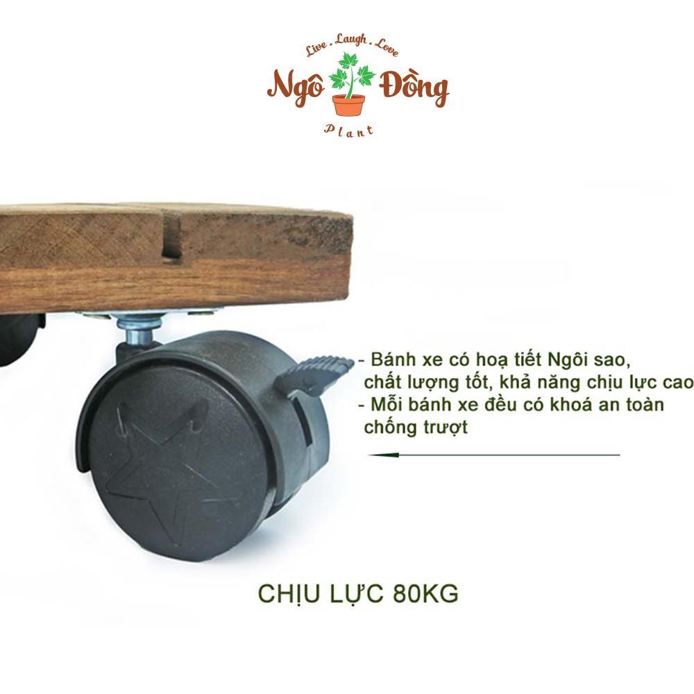 Đế Lót Chậu Cây Cảnh Chậu Hoa Chịu Lực Đến 80kg Bằng Gỗ Tràm Bông Vàng Trong Nhà Sân Vườn Ngoài Trời