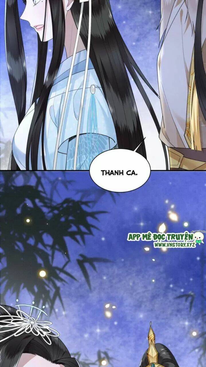 phượng hoàng vu phi chapter 78 16