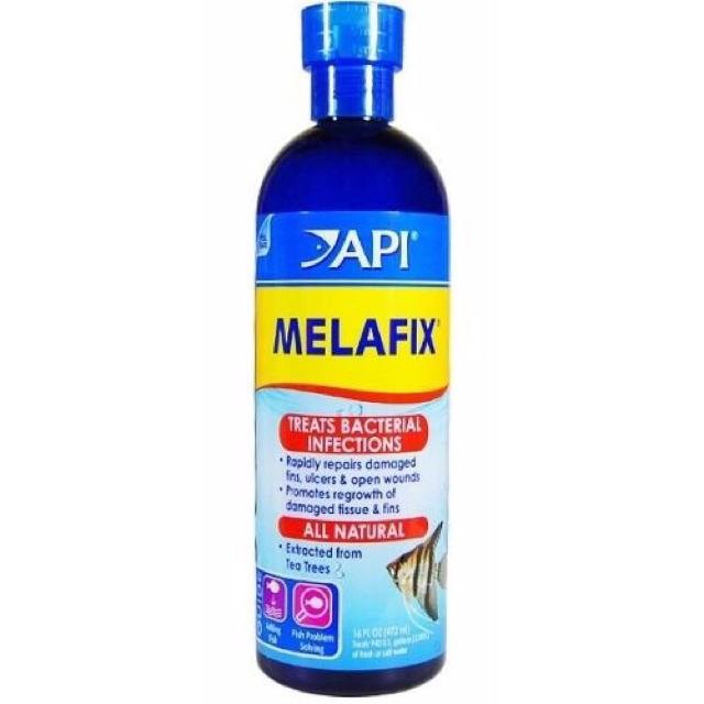 Melafix API - Thảo Dược Chăm Sóc Cá Nước Ngọt và Nước Mặn Cá Rồng, La Hán, Cá Vàng