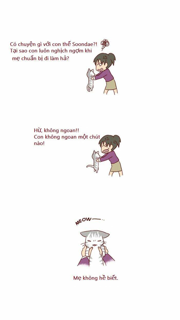 my kitty and old dog chapter 5 3