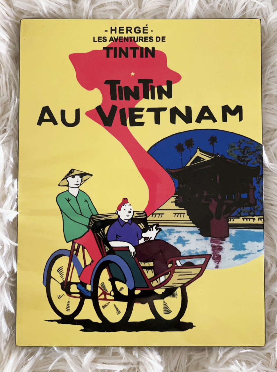 Tranh sơn mài cao cấp Thanh Bình Lê Tin Tin Việt Nam