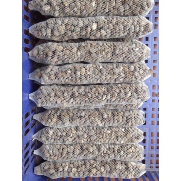 1 kg phân dê đã qua xử lý làm phân bón lan và các loại cây trồng