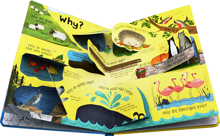 Sách tương tác tiếng Anh - Usborne Lift-the-flap Questions and Answers about Animals