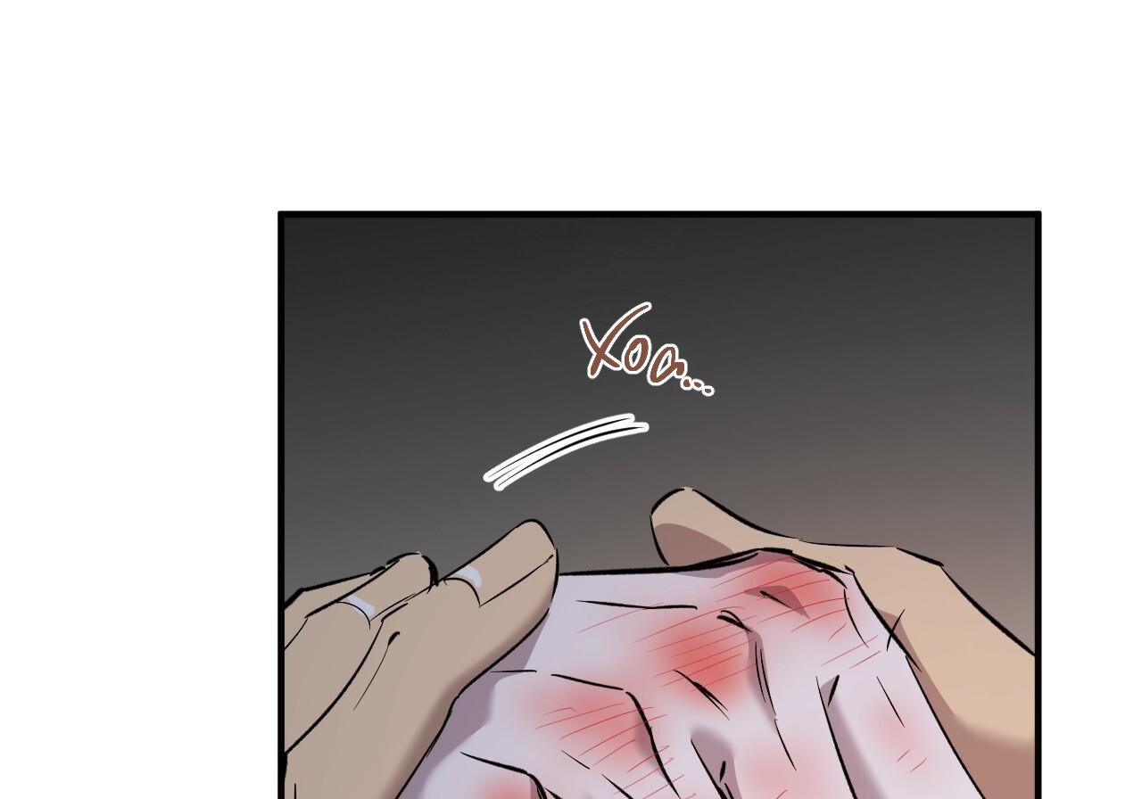 những chú thỏ của hapypy chapter 60 194