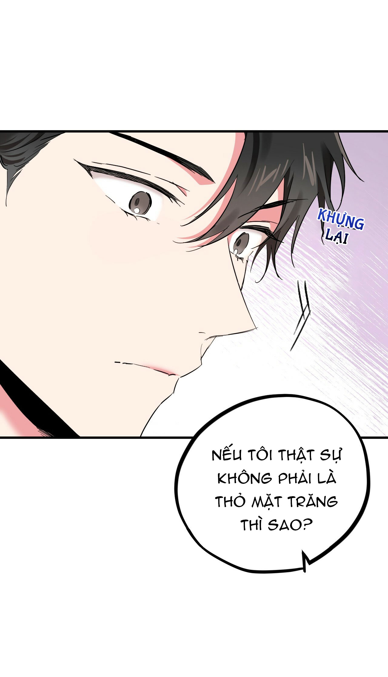 những chú thỏ của hapypy chapter 5 45