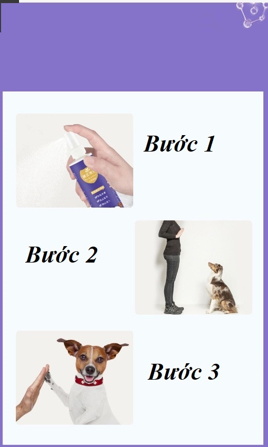 [MẪU HOT] Bình xịt bọt rửa chân cho chó mèo, Dụng cụ làm sạch bàn chân cho thú cưng, bọt rửa chân cho thú cưng 150ml