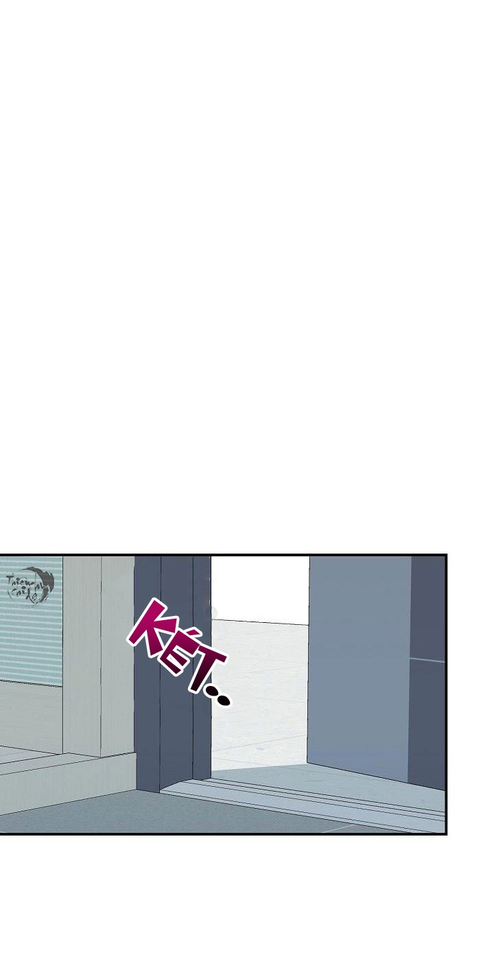 hoa ly hổ chapter 12 23