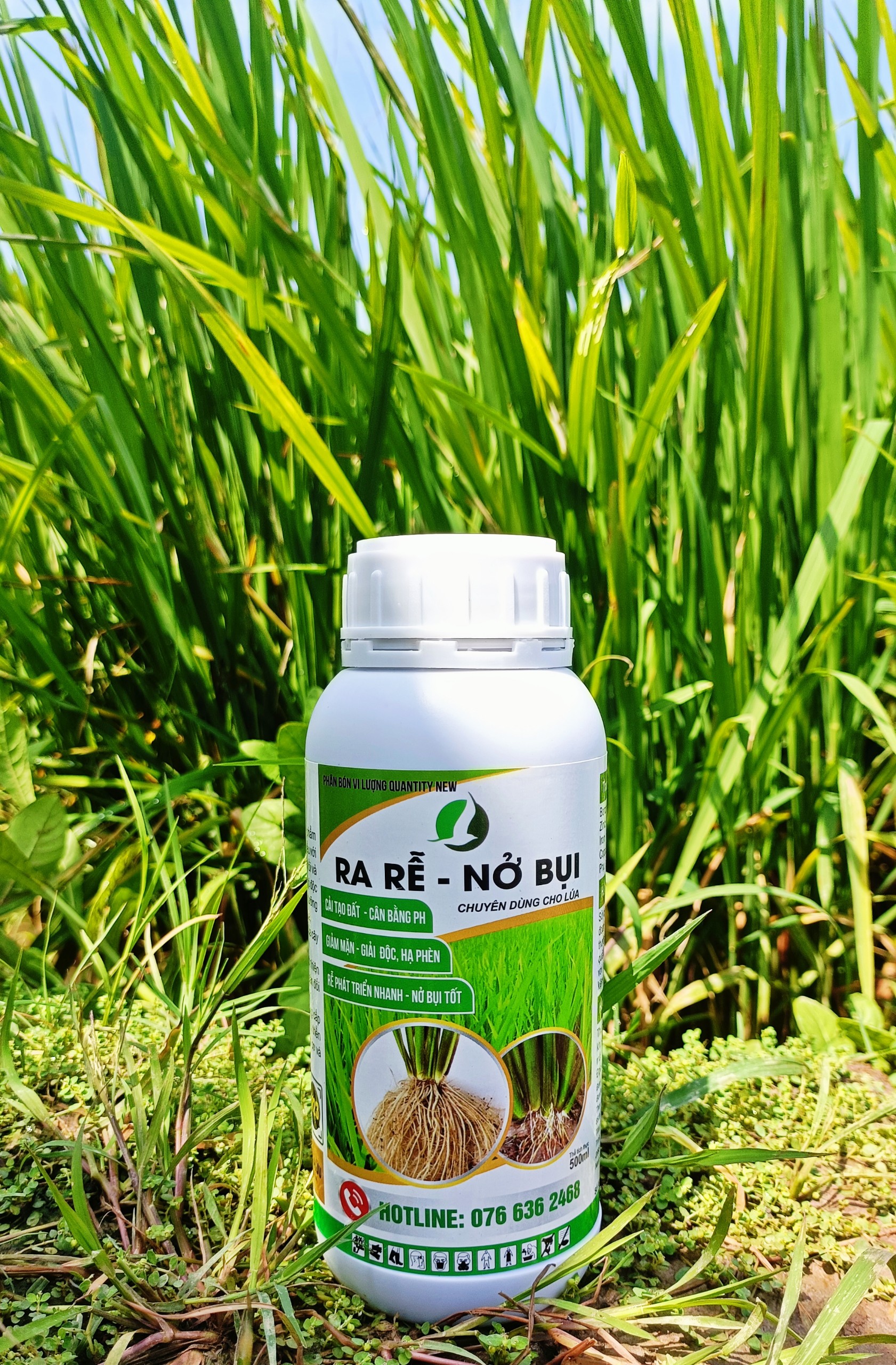 RA RỄ NỞ BỤI Phân bón lá giúp lúa ra rễ nở bụi tốt, cứng cây. chai 500ml