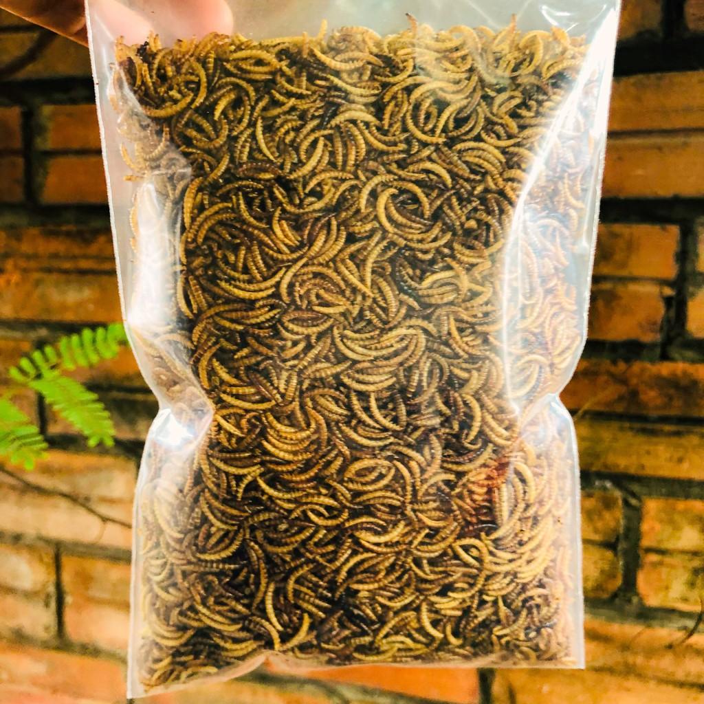 Sâu Gạo sấy khô, thức ăn yêu thích cho Hamster, chim, gà đá, cá cảnh, sóc, nhím