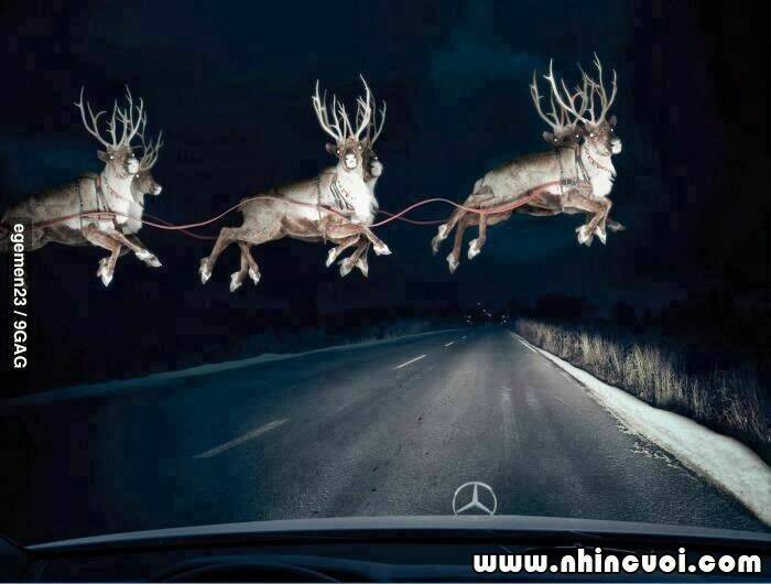 hình ảnh hài hước new chapter 28 24