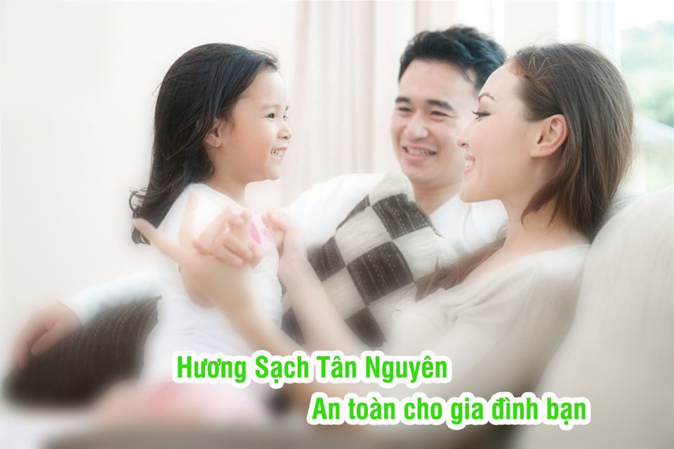 Hương bài Tân Nguyên, nhang xông phong thủy, nụ xông nhà làm từ rễ cây bài, sản phẩm OCOP quốc gia