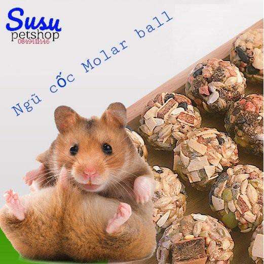 Ngũ cốc Molar ball ăn vặt cho Hamster, Sóc