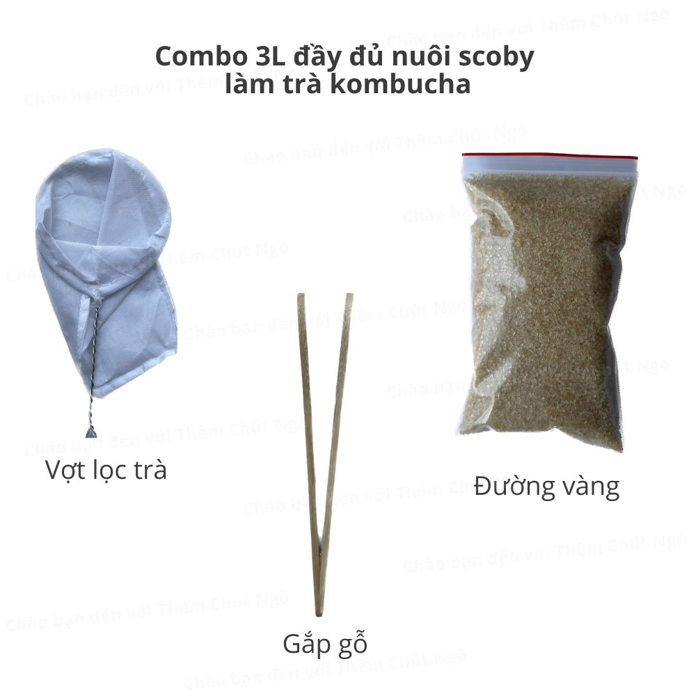 Combo 3L đầy đủ nuôi scoby làm trà kombucha (dùng để nuôi 2,5 lít)