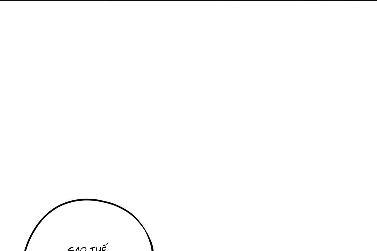 chàng dâu nhà họ kang chapter 34 44