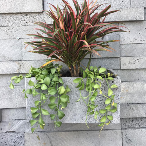 Chậu treo tường trồng cây bằng đá ong xám tự nhiên KT Dài 30xR15xC15cm, ốp tường ban công, giếng trời, sân thượng bền đẹp chịu được mọi thời tiết