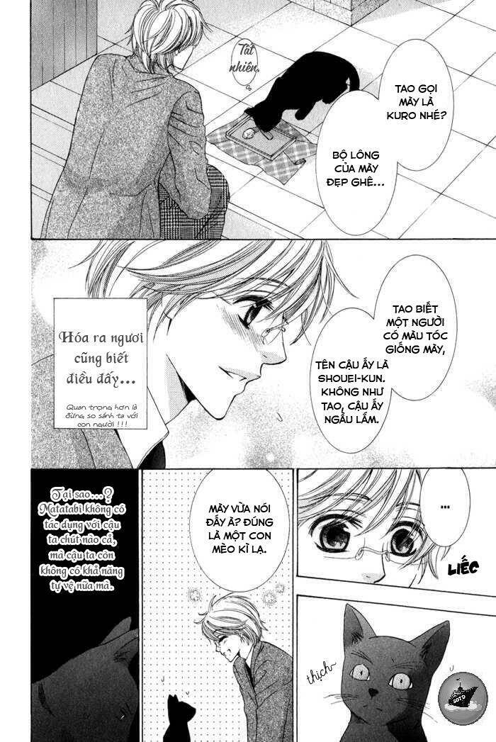 neko mata chapter 6 6