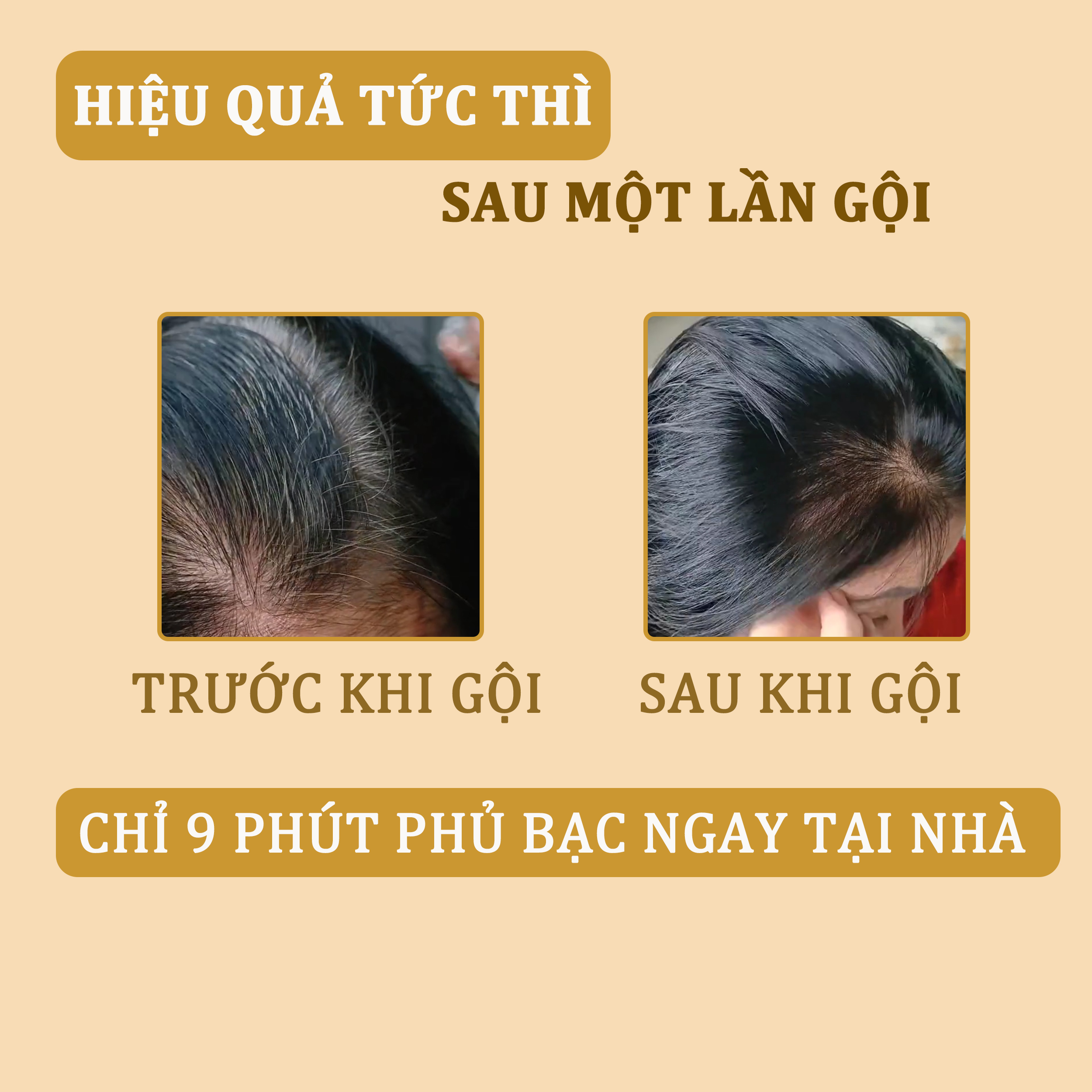 Dầu gội phủ bạc Haseni 200ml đen tóc sau 9 phút, không lem, không xót da đầu
