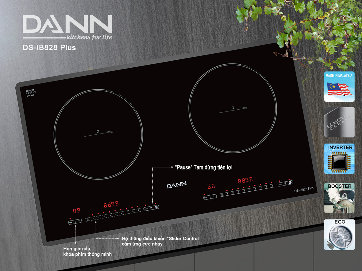 Bếp từ Dann DS-IB828 Plus