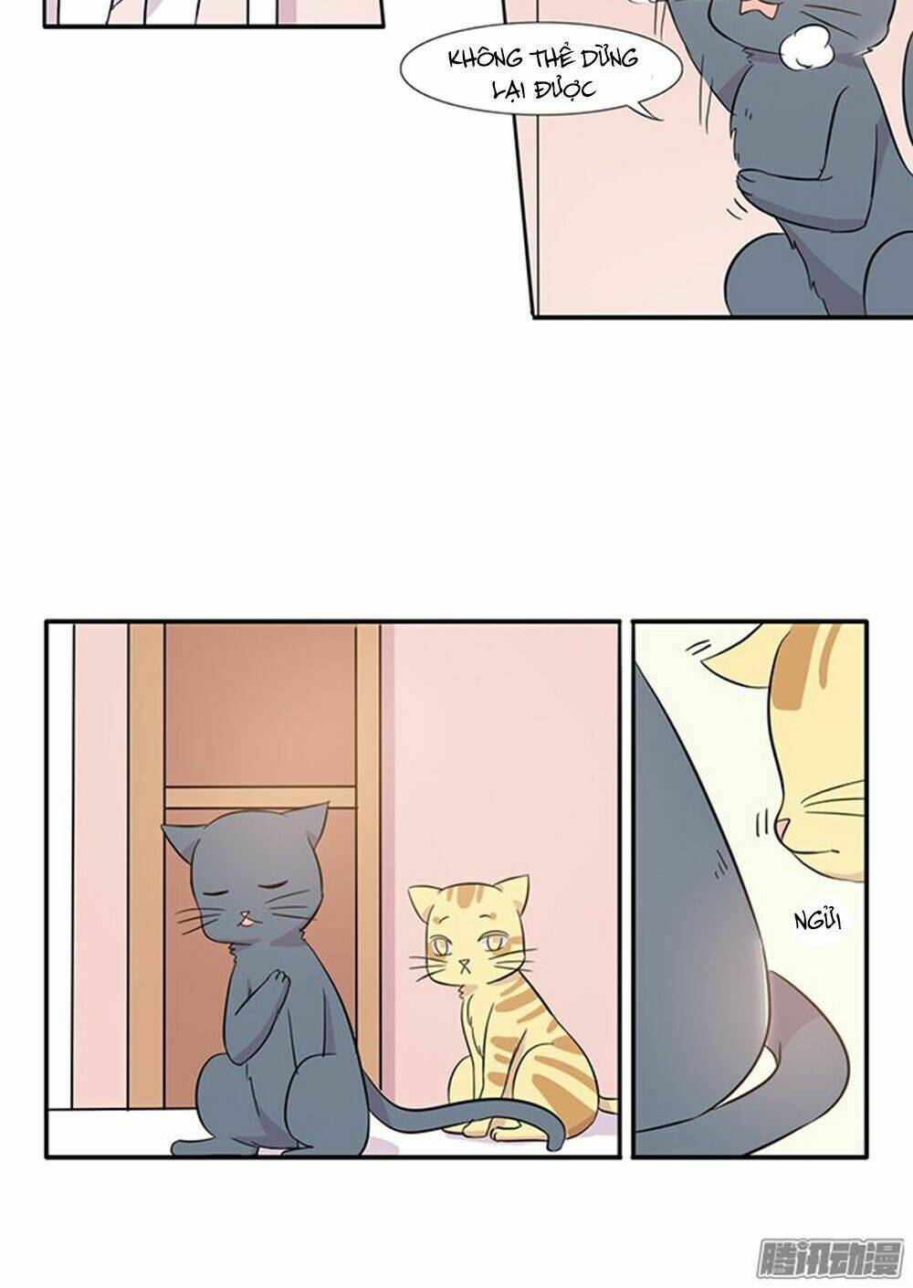 hai chú mèo totem chapter 14 18