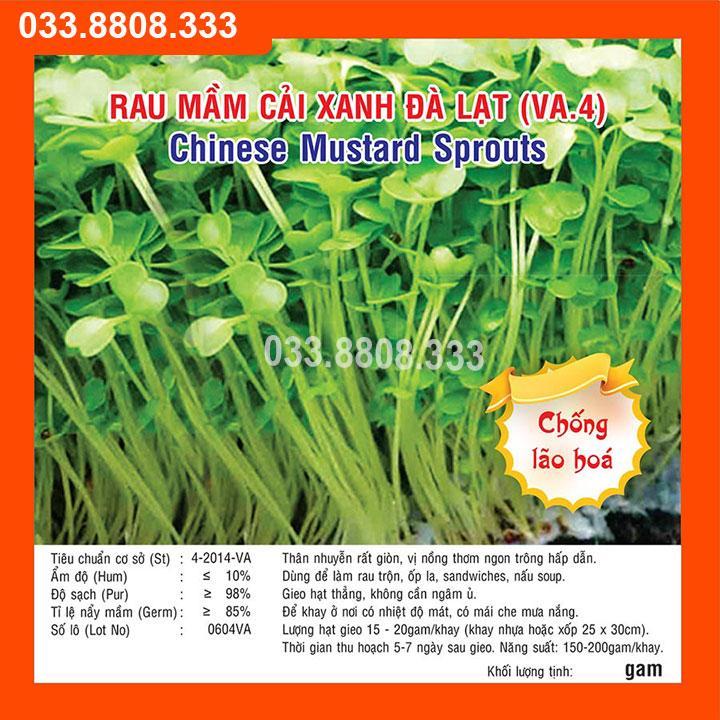 100G HẠT GIỐNG RAU MẦM CẢI XANH GIỐNG CHUẨN, CỰC CHẤT LƯỢNG