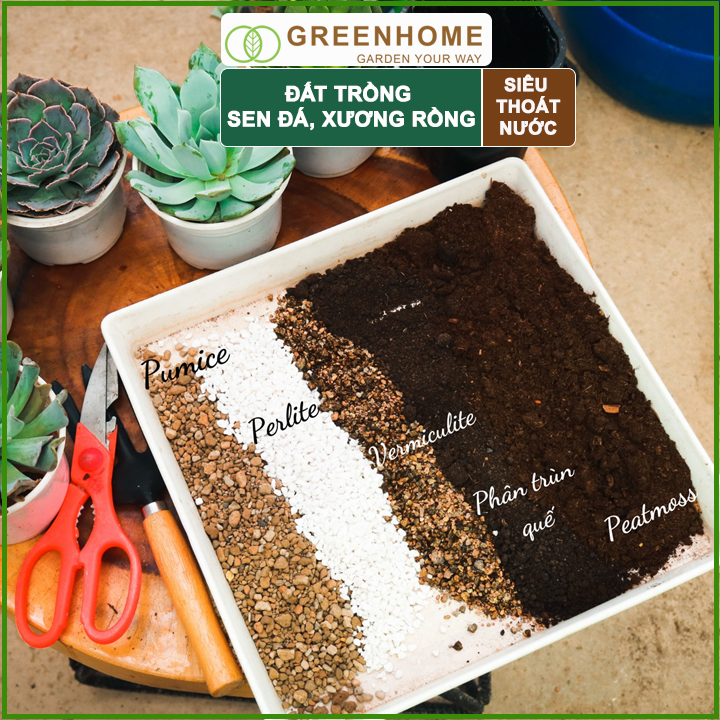 Bộ 2 Đất  SOIL MIX- Trồng sen đá, xương rồng-Giúp kích thích ra rễ, giữ các chất dinh dưỡng cho cây-(6KG/1 gói)