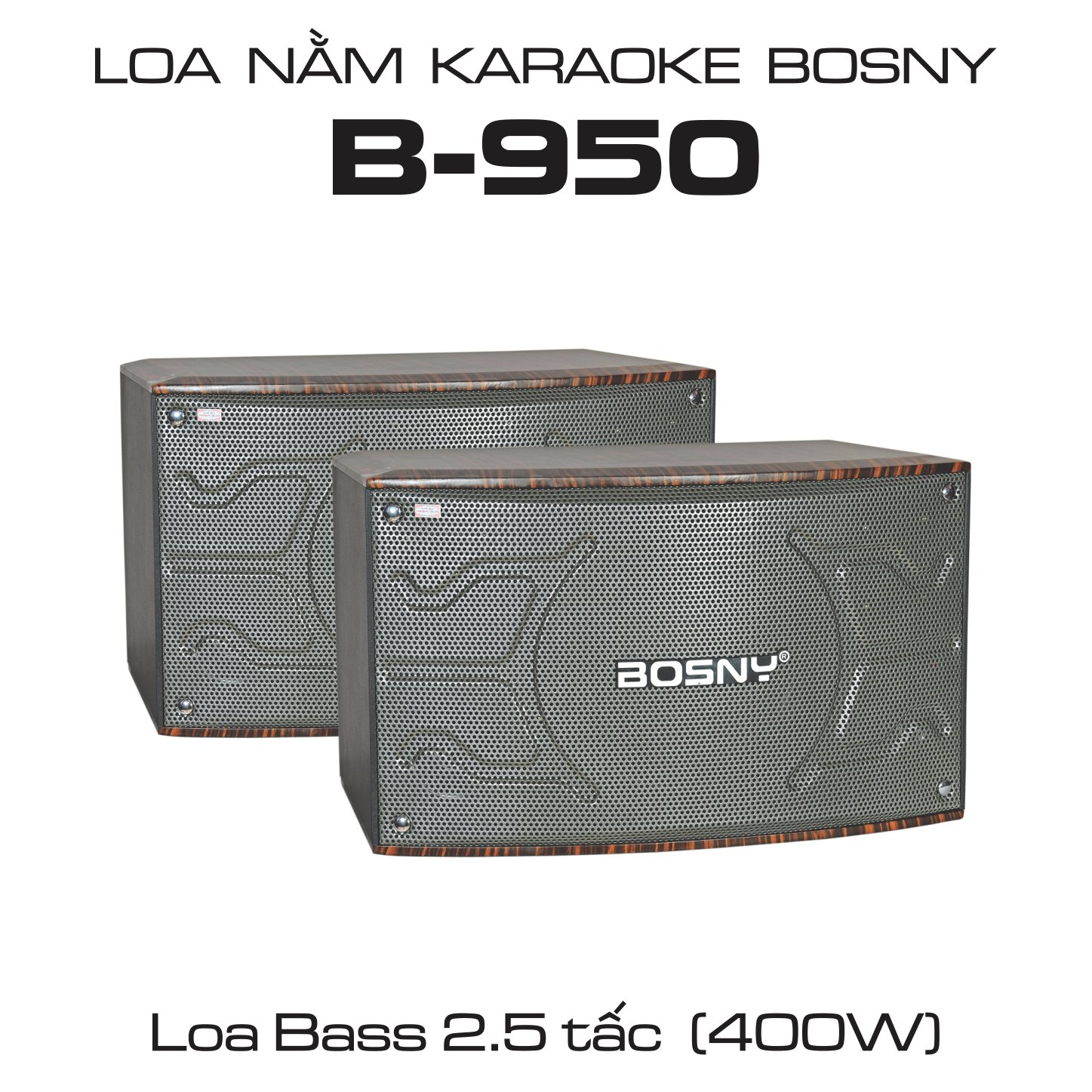 LOA NẰM KARAOKE BOSNY B-950 (Hàng chính hãng)