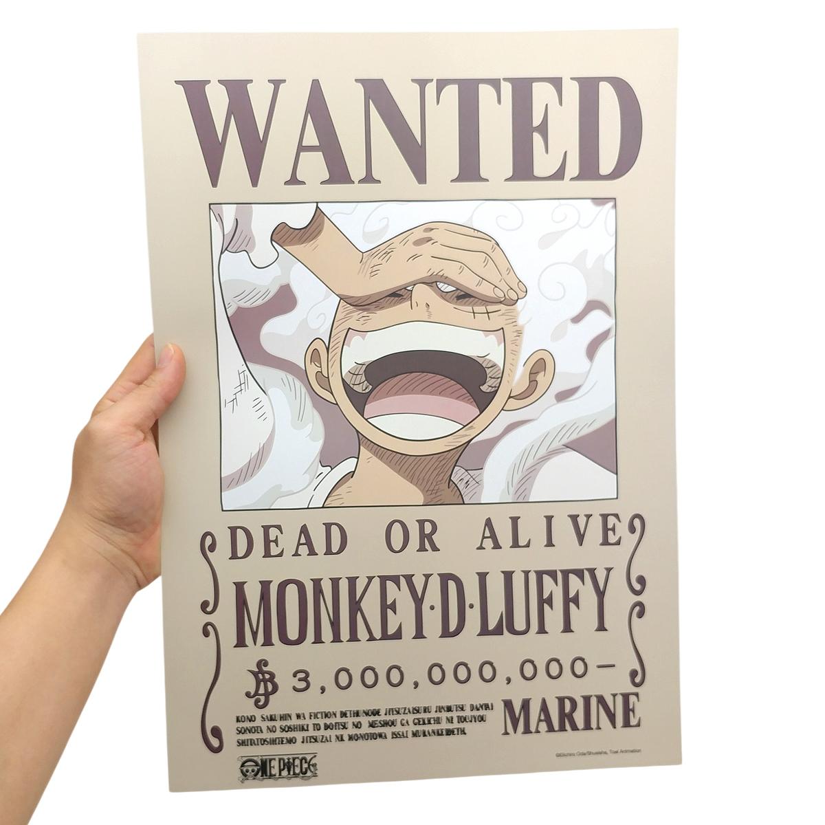 Poster One Piece V2 - Lệnh Truy Nã Luffy - TeenBox